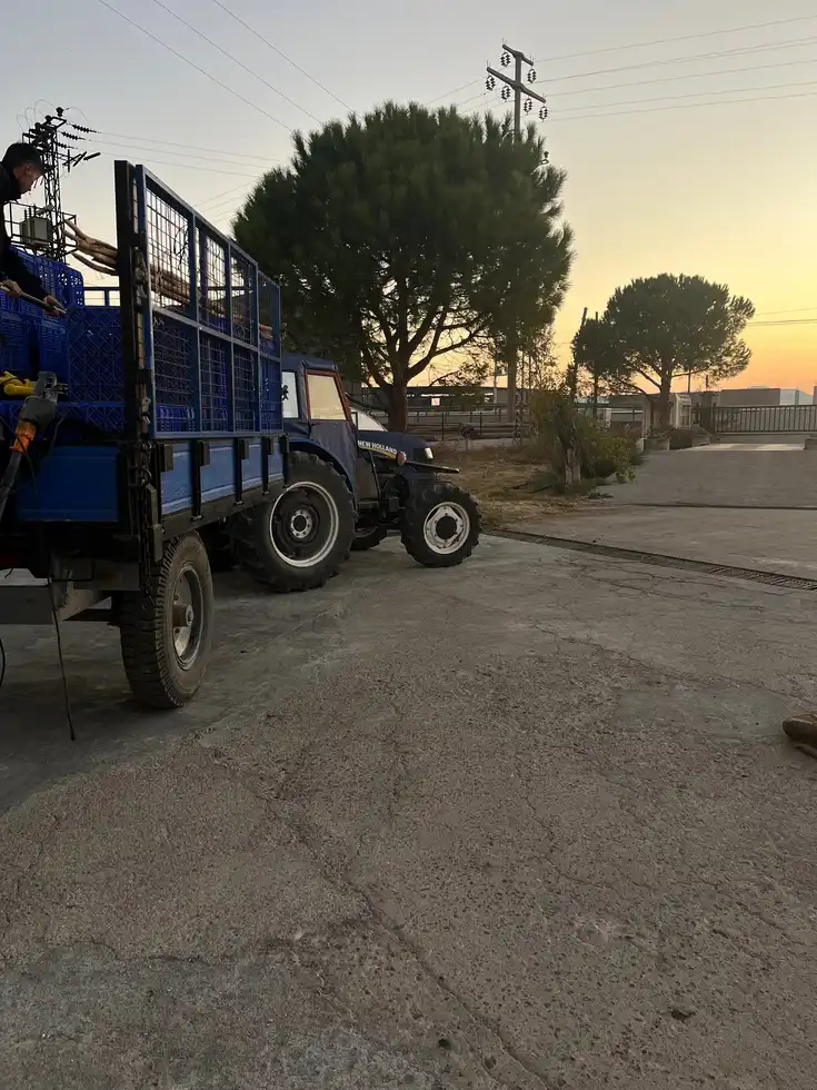 Ayvada zeytin hasadı sonrası kasalarla sıkıma yolculuk