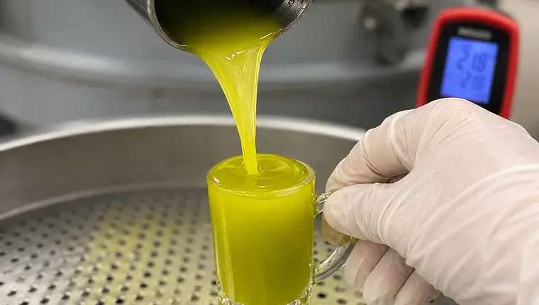 Ayvada üretim tesisinde ilk sıkım taze zeytinyağı akışı