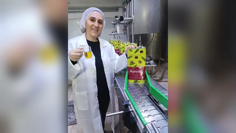 Zeytinyağı tüketim hesabı planına uygun Ayvada siparişe göre taze dolum süreci