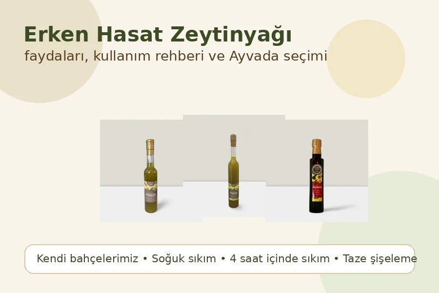 Ayvada erken hasat zeytinyağı faydaları ve seçim rehberi görseli