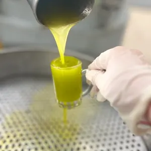 İlk defa erken hasat zeytinyağı alacaklar için Ayvada 5 L teneke görseli