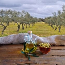 Erken Hasat Zeytinyağı Nedir? Gerçek Kaliteyi Belirleyen En Önemli Detay
