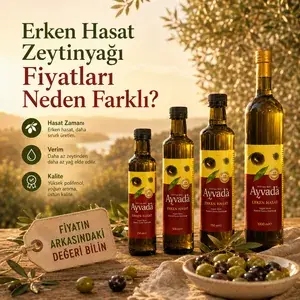 Erken Hasat Zeytinyağı Fiyatları Neden Farklı?