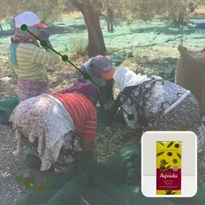 Bir Zeytinyağının Hikâyesini Takip Edebilir misiniz? İzlenebilir Zeytinyağı Gerçek Mi?