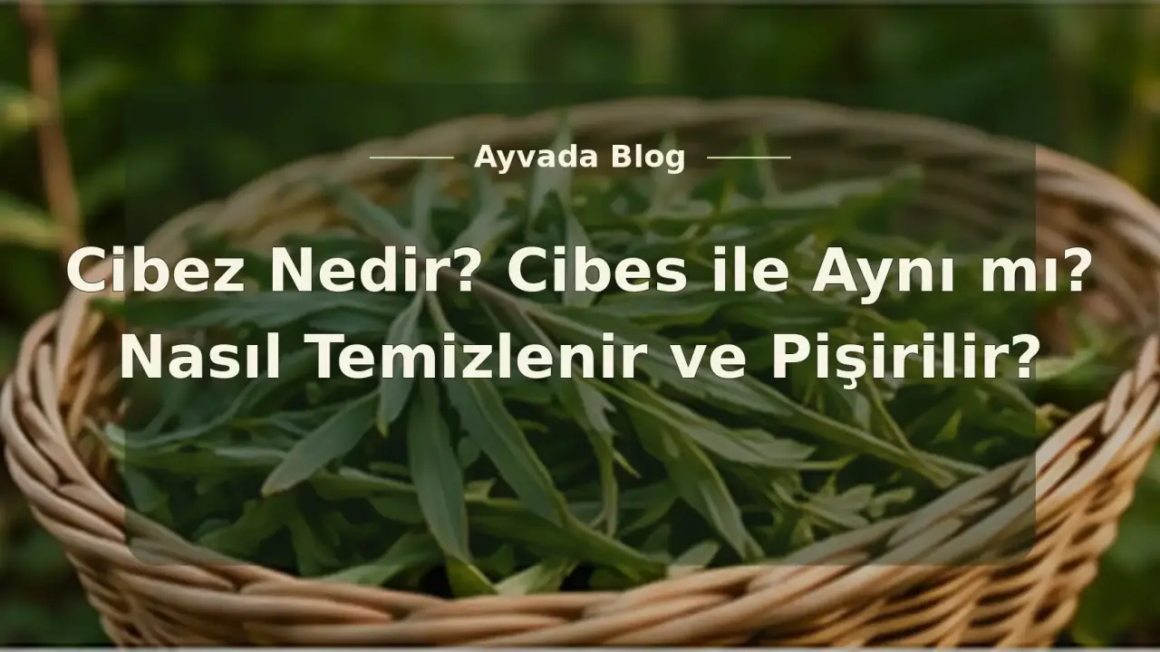 Cibez Nedir? Cibes ile Aynı mı, Nasıl Temizlenir ve Pişirilir?