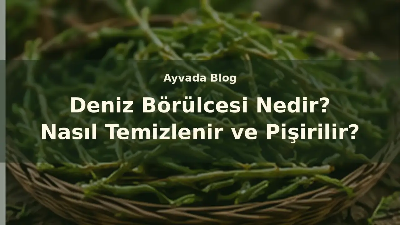 Deniz Börülcesi Nedir? Nasıl Temizlenir ve Pişirilir? 