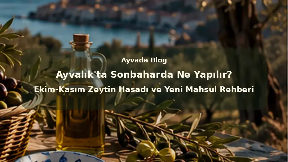 Ayvalık'ta Sonbaharda Ne Yapılır? Ekim-Kasım Zeytin Hasadı ve Yeni Mahsul Rehberi