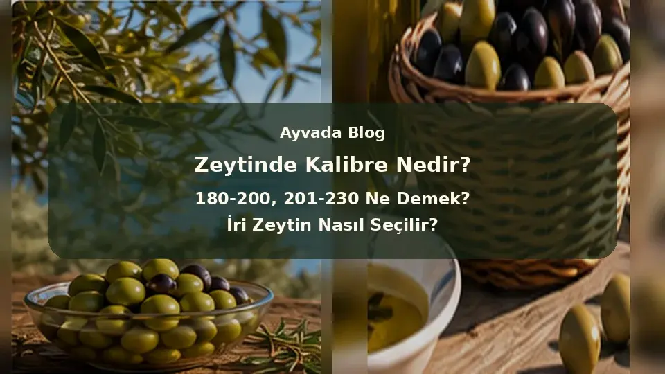  Zeytinde Kalibre Nedir? 180-200, 201-230 Ne Demek? İri Zeytin Nasıl Seçilir?