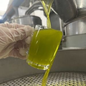İlk Mahsul 3 Dizyem Erken Hasat Soğuk Sıkım Zeytinyağı 500 Ml Siyah Şişe